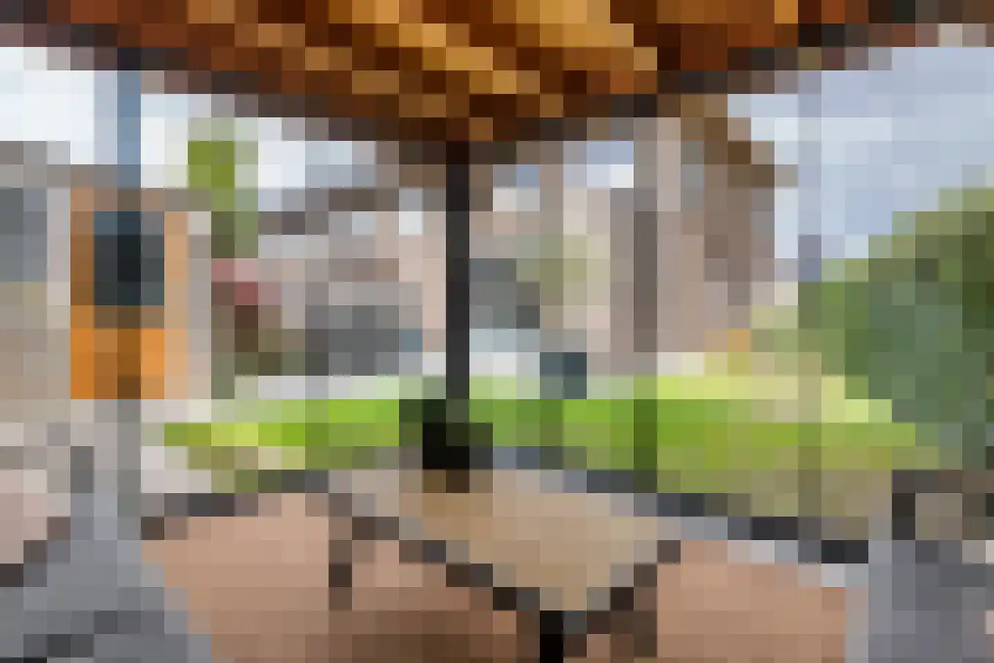 Grote Ronduit 22 Tiel thumbnail 4