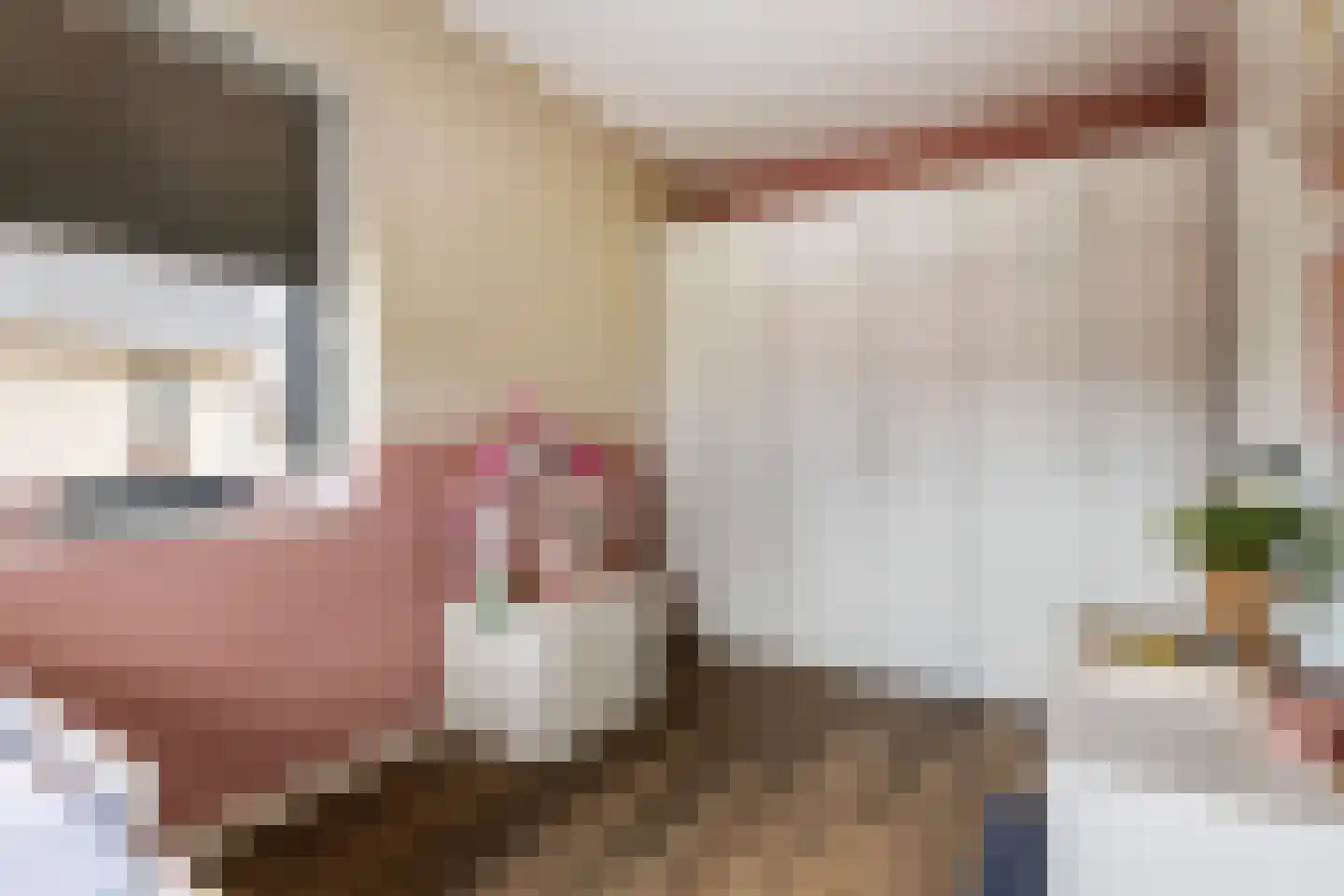 Grote Ronduit 22 Tiel thumbnail 41