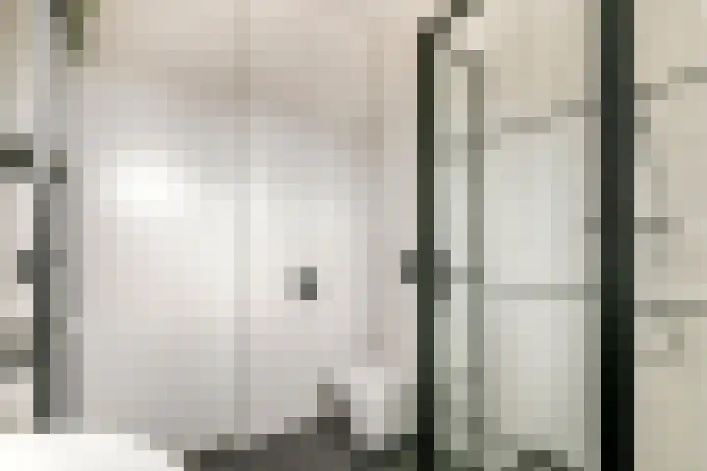 Grote Ronduit 22 Tiel thumbnail 44