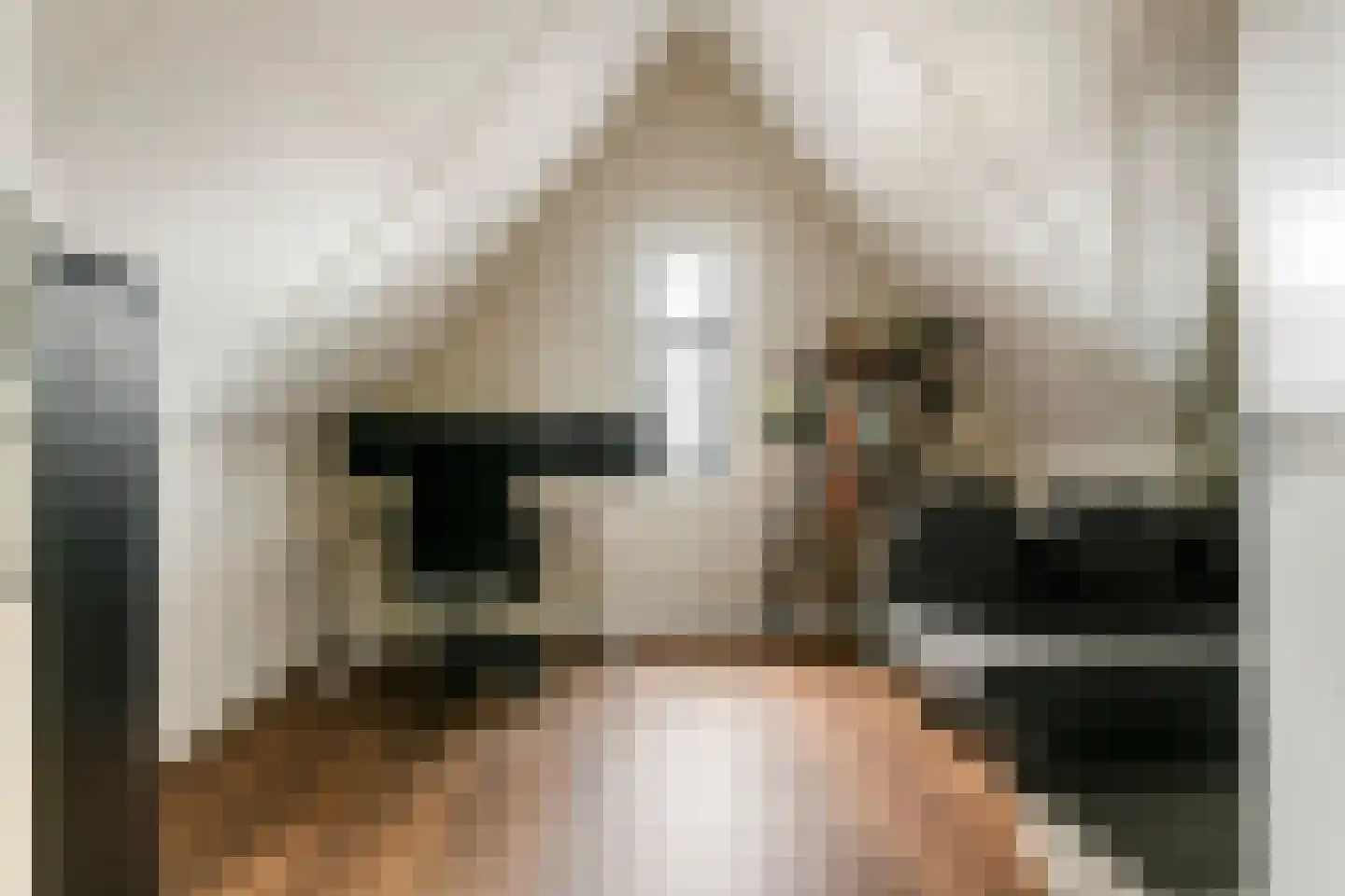 Grote Ronduit 22 Tiel thumbnail 45