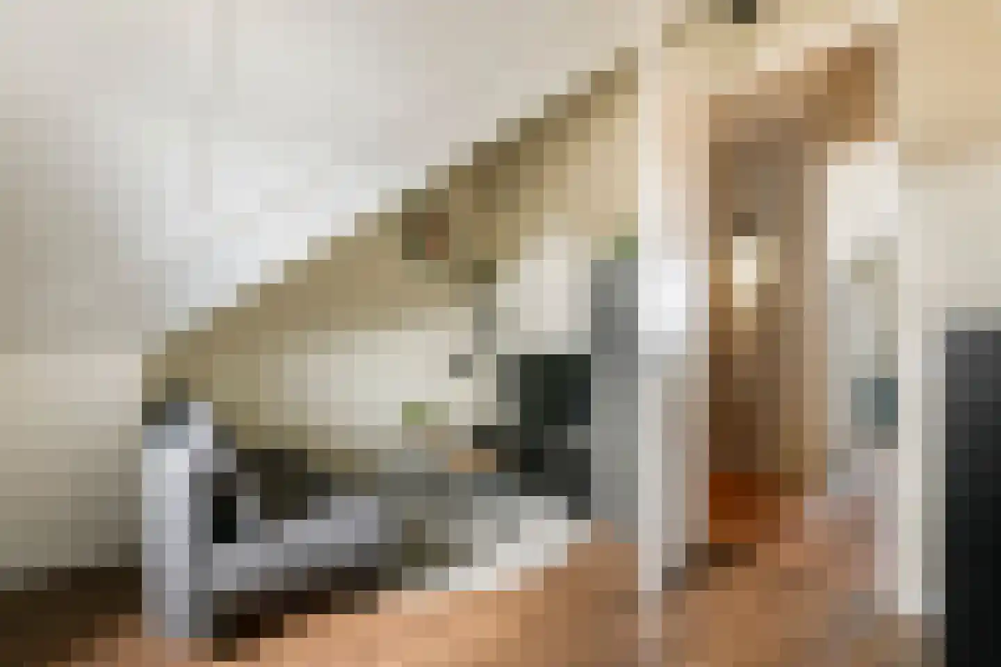 Grote Ronduit 22 Tiel thumbnail 46