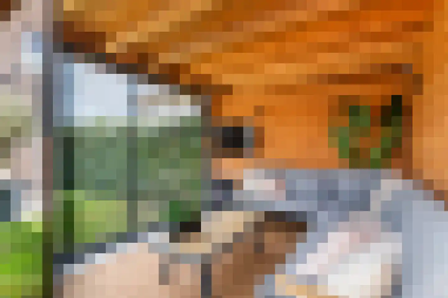 Grote Ronduit 22 Tiel thumbnail 5