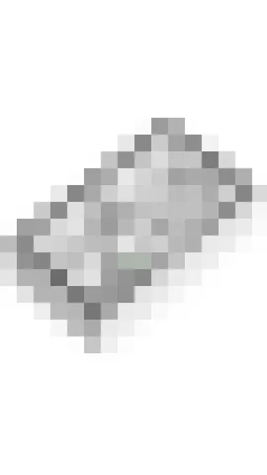 Grote Ronduit 22 Tiel thumbnail 54