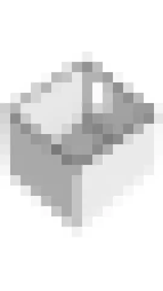 Grote Ronduit 22 Tiel thumbnail 58