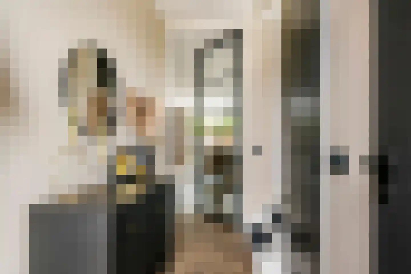 Grote Ronduit 22 Tiel thumbnail 7