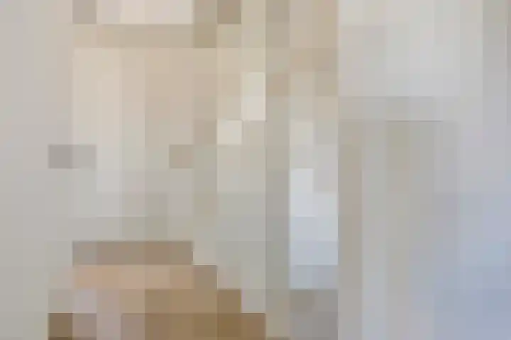 Grote Ronduit 24 Tiel thumbnail 12