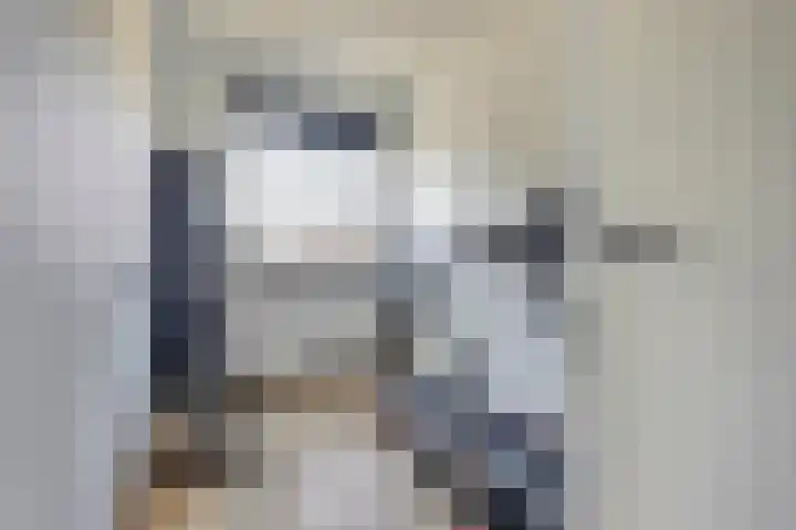 Grote Ronduit 24 Tiel thumbnail 13