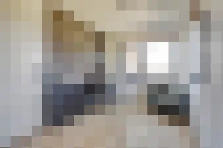 Grote Ronduit 24 Tiel thumbnail 15