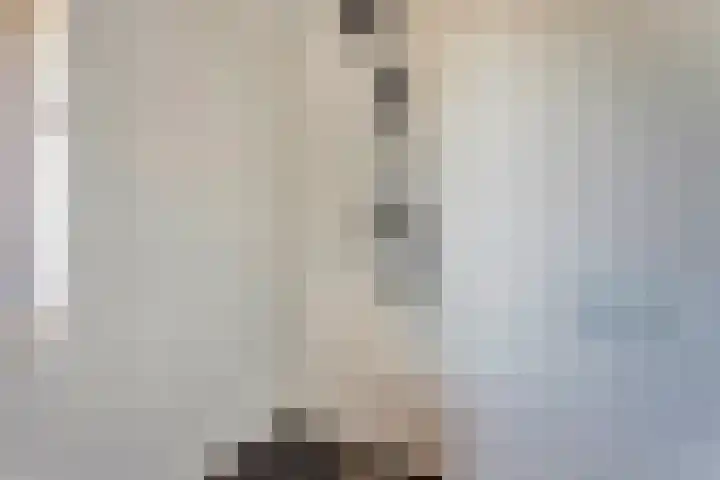 Grote Ronduit 24 Tiel thumbnail 23