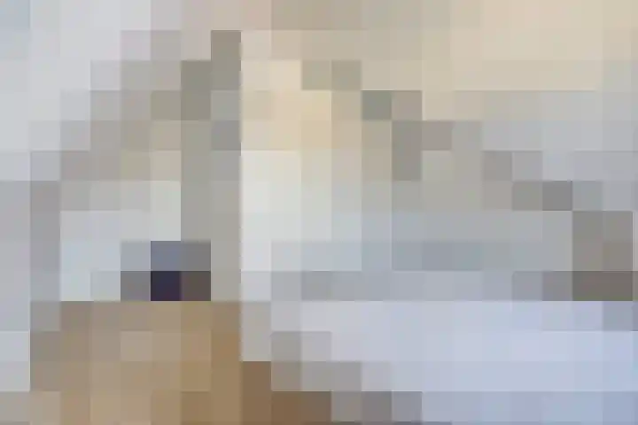 Grote Ronduit 24 Tiel thumbnail 28