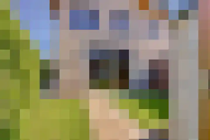 Grote Ronduit 24 Tiel thumbnail 30