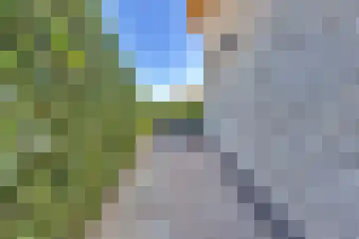 Grote Ronduit 24 Tiel thumbnail 32