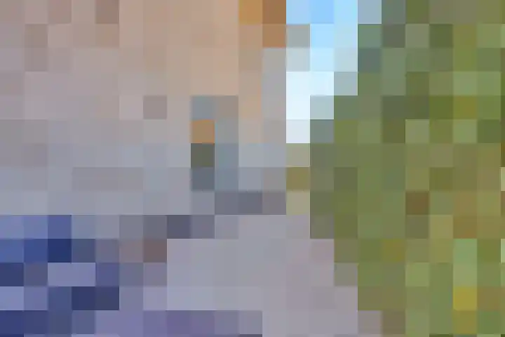 Grote Ronduit 24 Tiel thumbnail 34