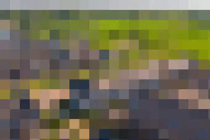 Grote Ronduit 24 Tiel thumbnail 35