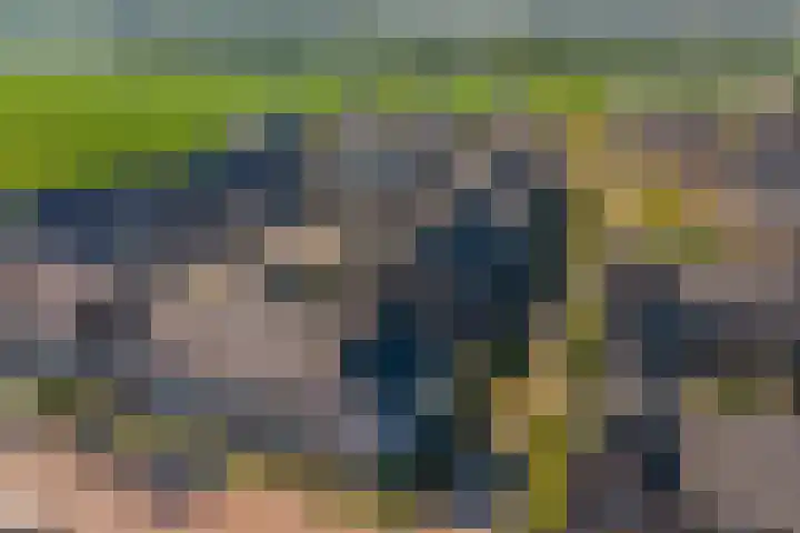 Grote Ronduit 24 Tiel thumbnail 38