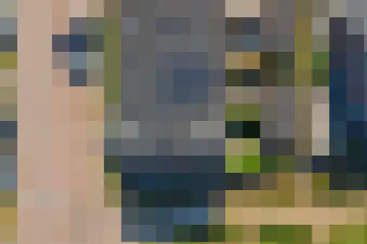 Grote Ronduit 24 Tiel thumbnail 39