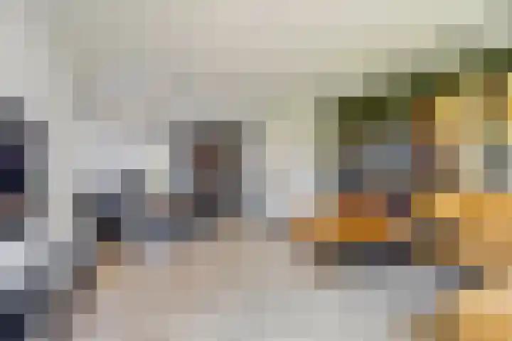 Grote Ronduit 24 Tiel thumbnail 5