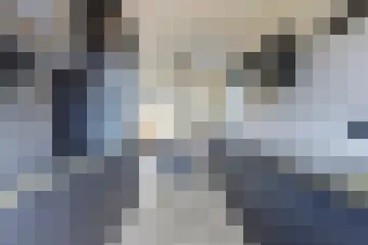Grote Ronduit 24 Tiel thumbnail 7