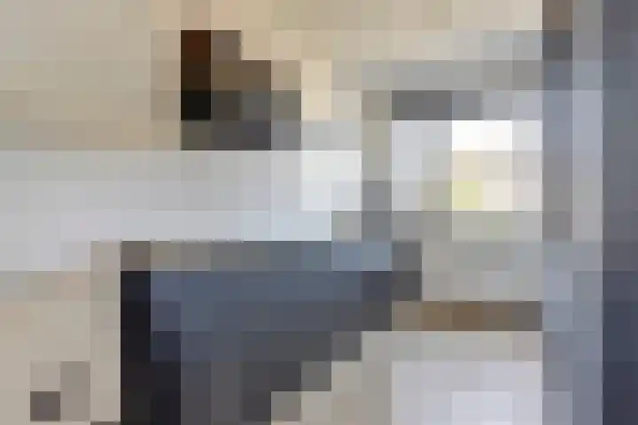 Grote Ronduit 24 Tiel thumbnail 9