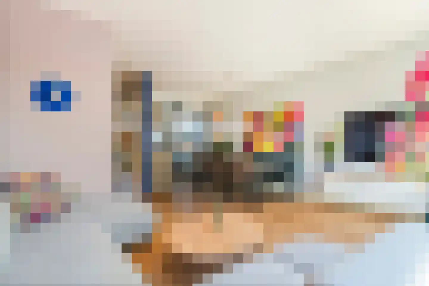 Grote Ronduit 28 Tiel thumbnail 15