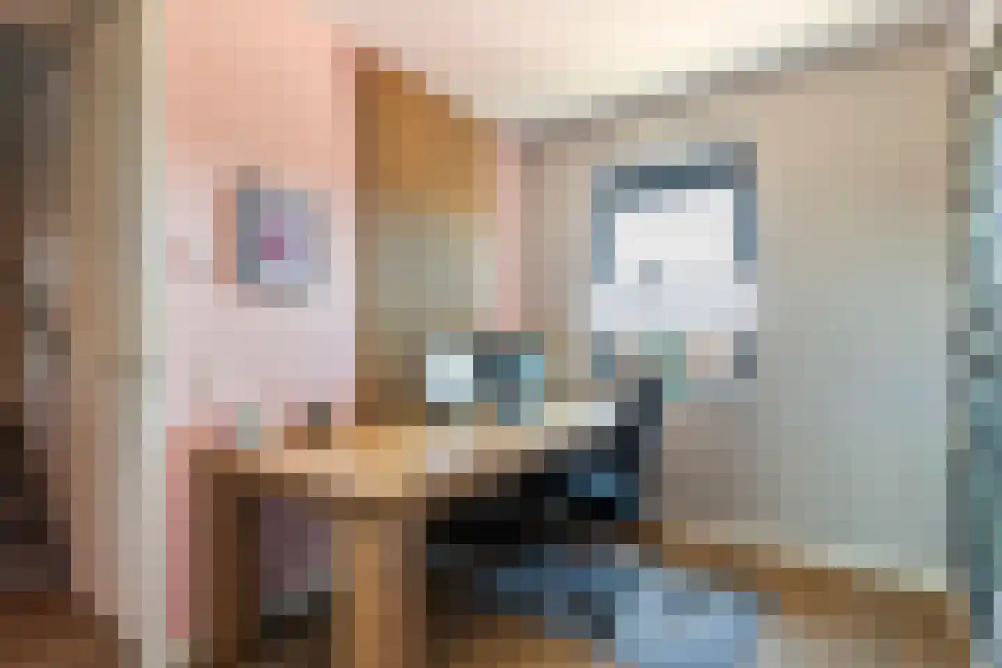 Grote Ronduit 28 Tiel thumbnail 29