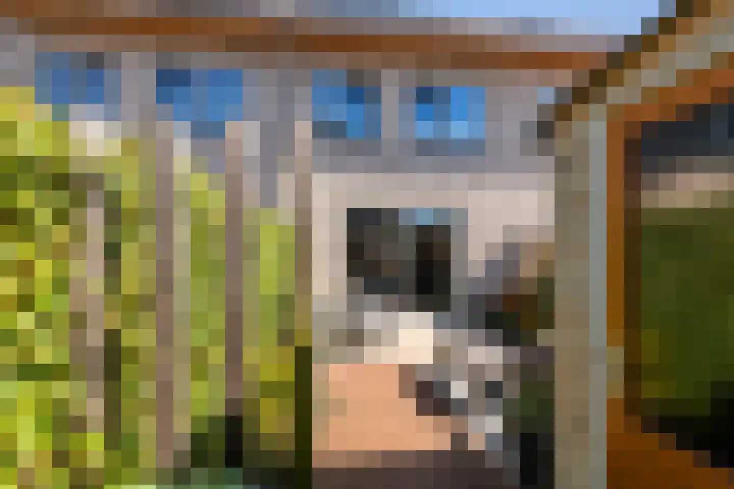 Grote Ronduit 28 Tiel thumbnail 44