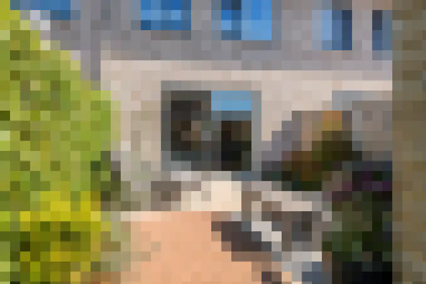 Grote Ronduit 28 Tiel thumbnail 45