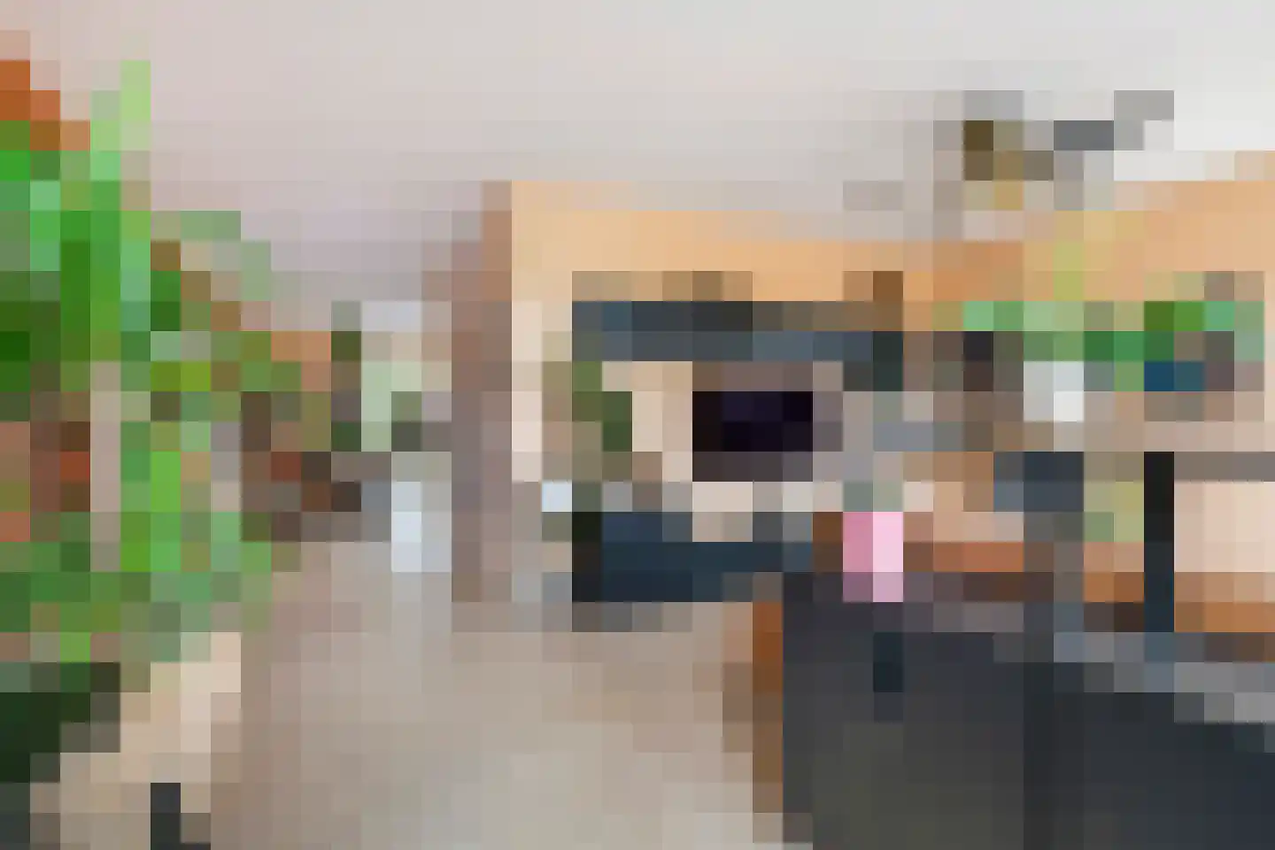 Grote Ronduit 5 Tiel thumbnail 10