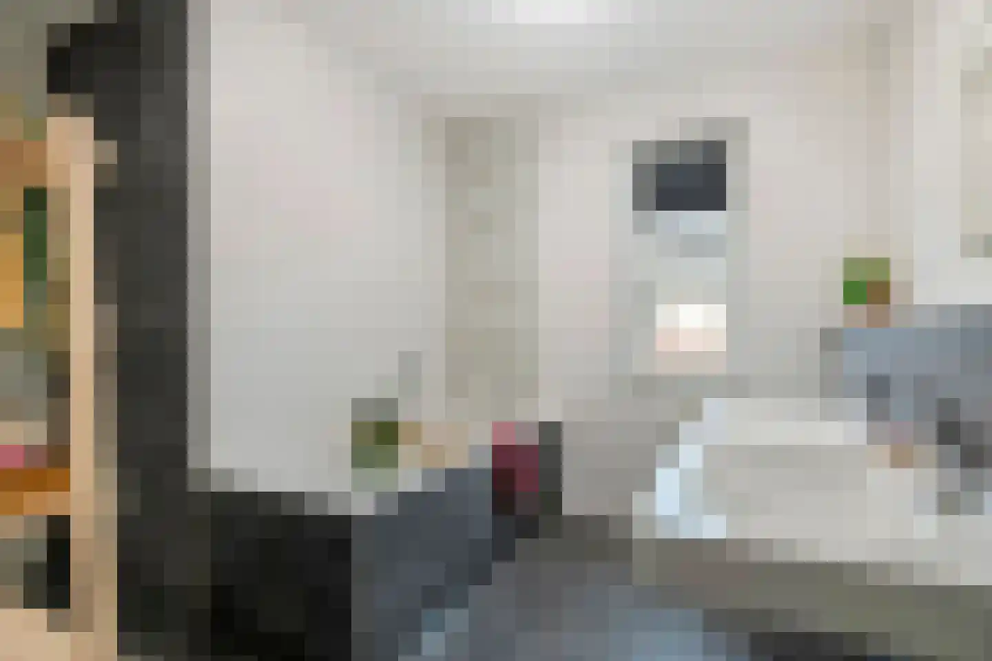 Grote Ronduit 5 Tiel thumbnail 22