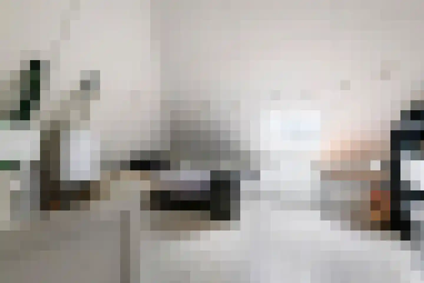 Grote Ronduit 5 Tiel thumbnail 25