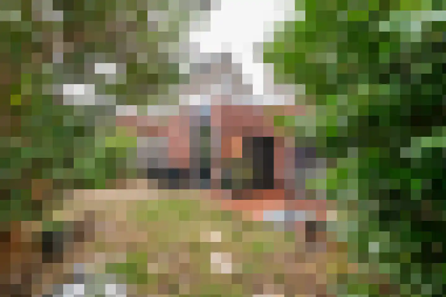 Grote Ronduit 5 Tiel thumbnail 29