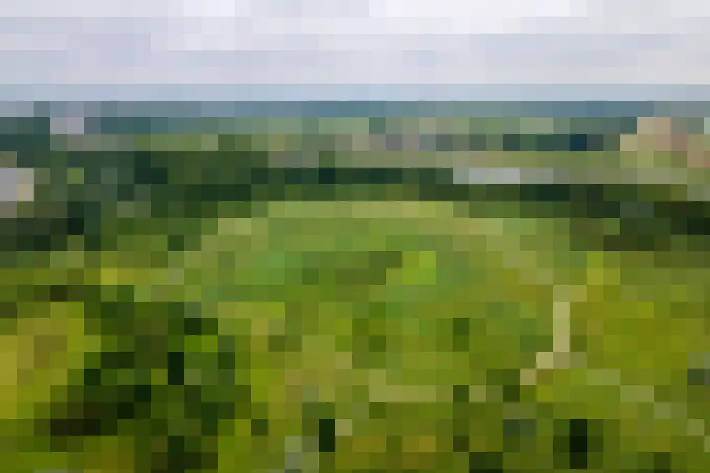 Grote Ronduit 5 Tiel thumbnail 36
