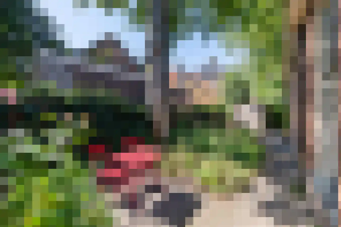 Grote Rozenstraat 76 a Groningen thumbnail 21