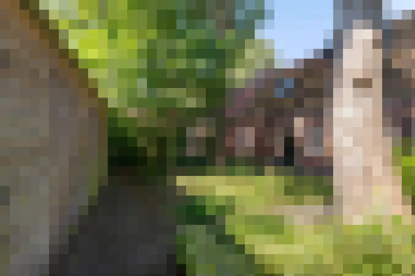 Grote Rozenstraat 76 a Groningen thumbnail 24
