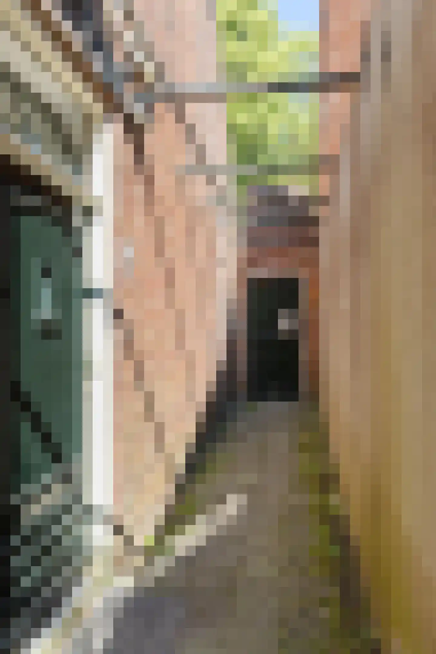 Grote Rozenstraat 76 a Groningen thumbnail 5