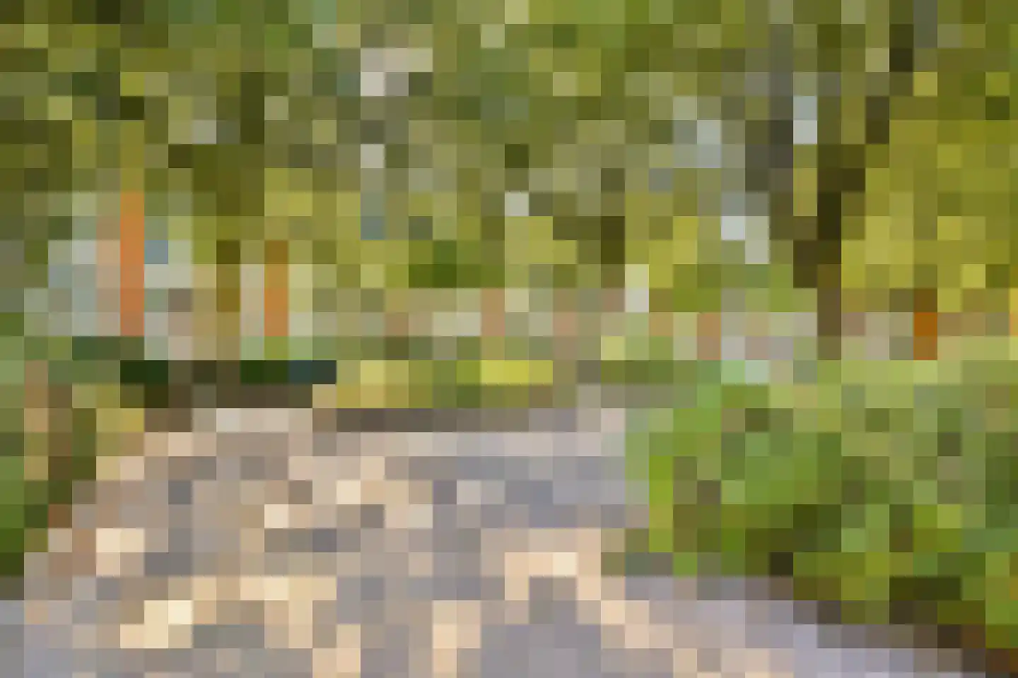 Grote Ruwenberg 28 3 Amsterdam thumbnail 22