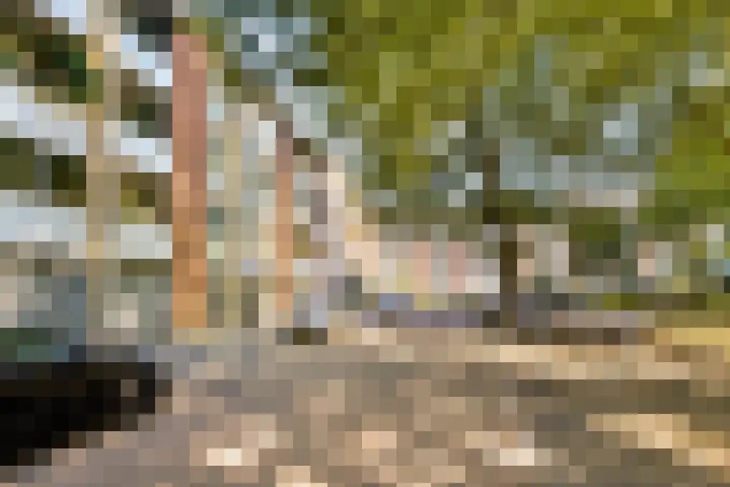 Grote Ruwenberg 28 3 Amsterdam thumbnail 5