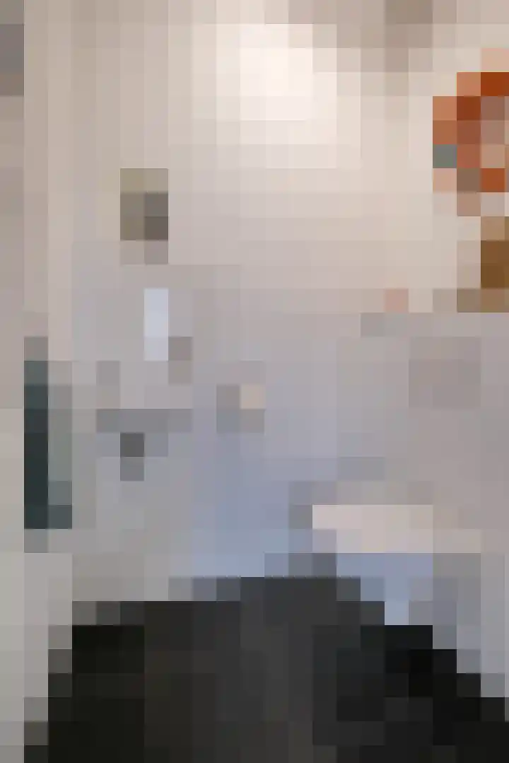 Grote Schoorsteenplein 5 Ede thumbnail 10