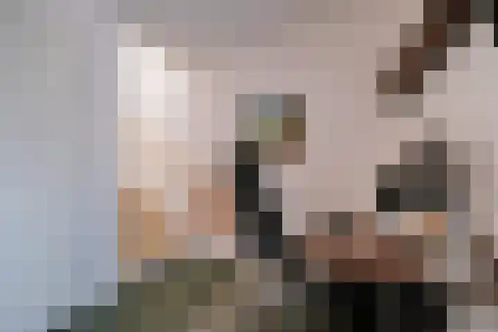 Grote Schoorsteenplein 5 Ede thumbnail 5