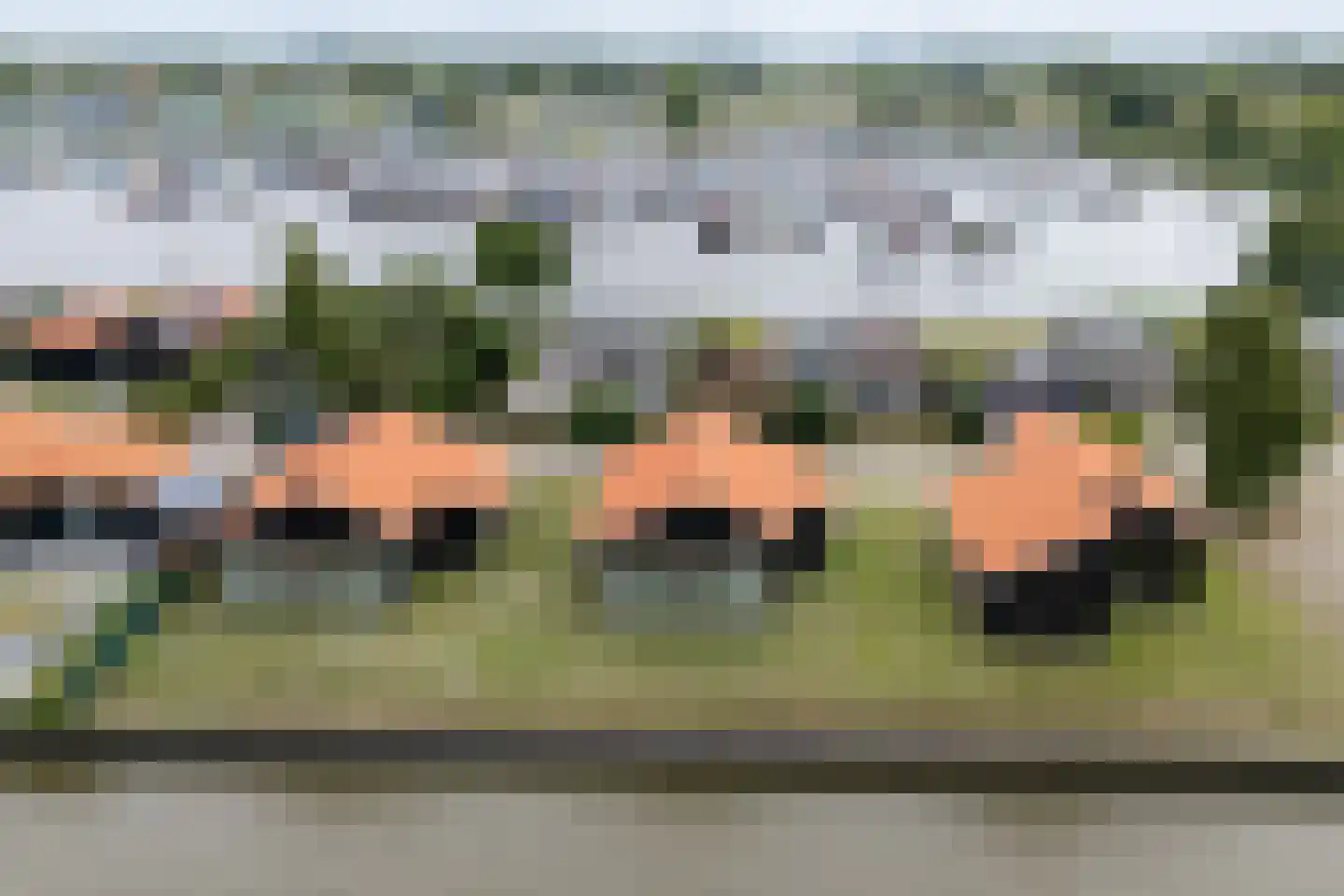 Grote Siege 41 Eanjum thumbnail 8