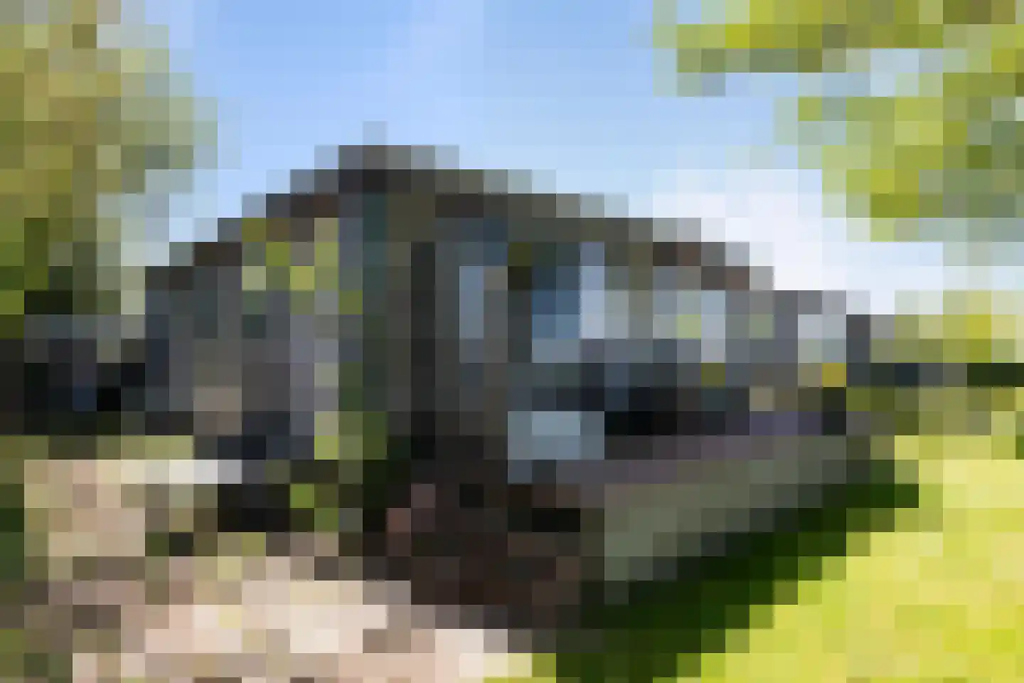 Grote Siege 8 Eanjum thumbnail 14