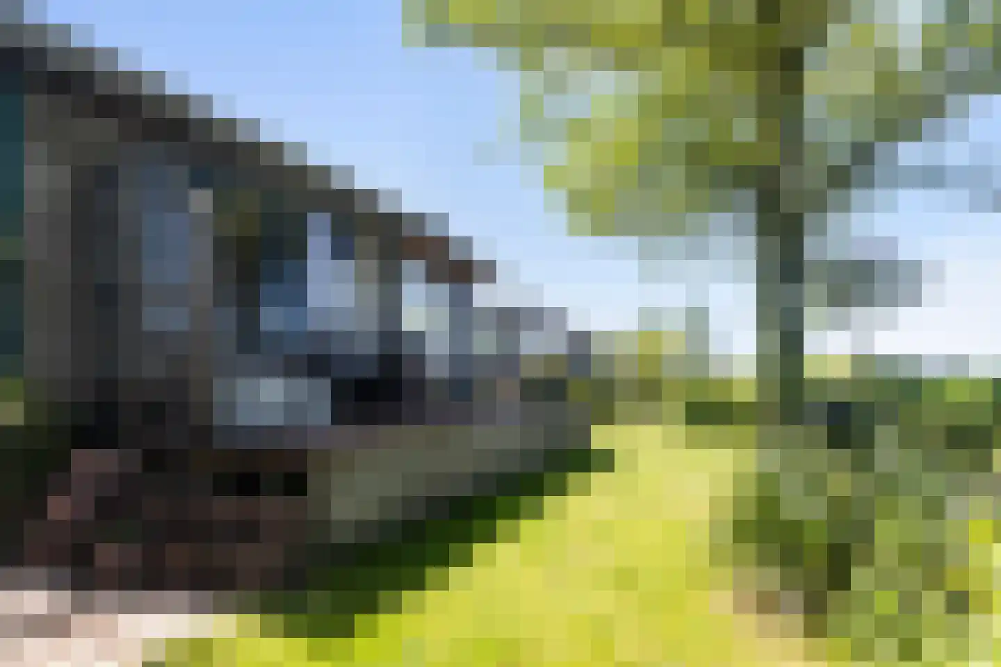 Grote Siege 8 Eanjum thumbnail 21