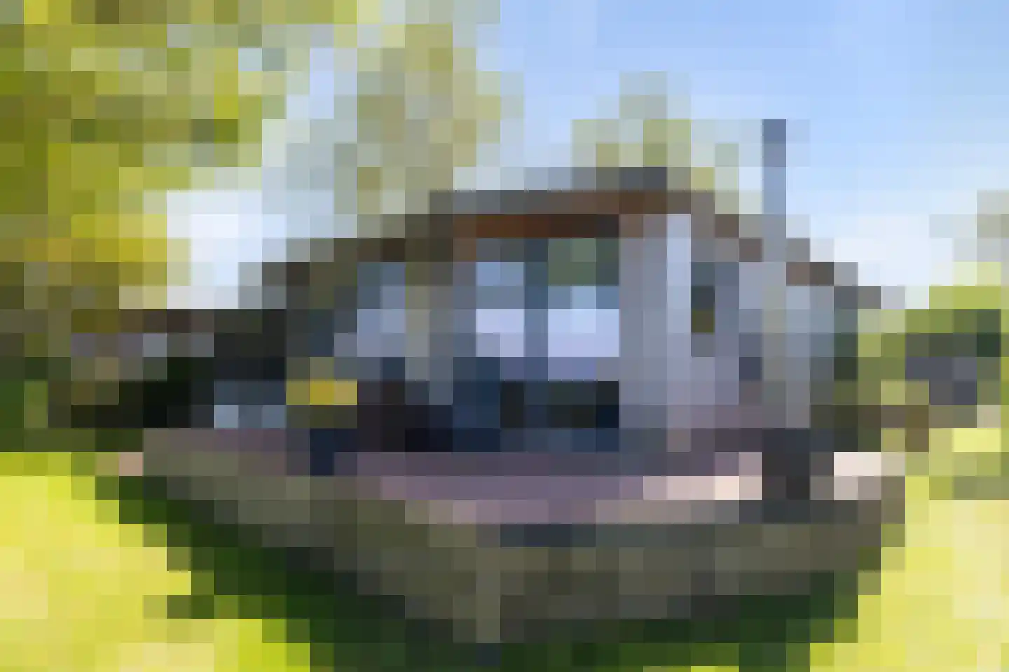 Grote Siege 8 Eanjum thumbnail 23