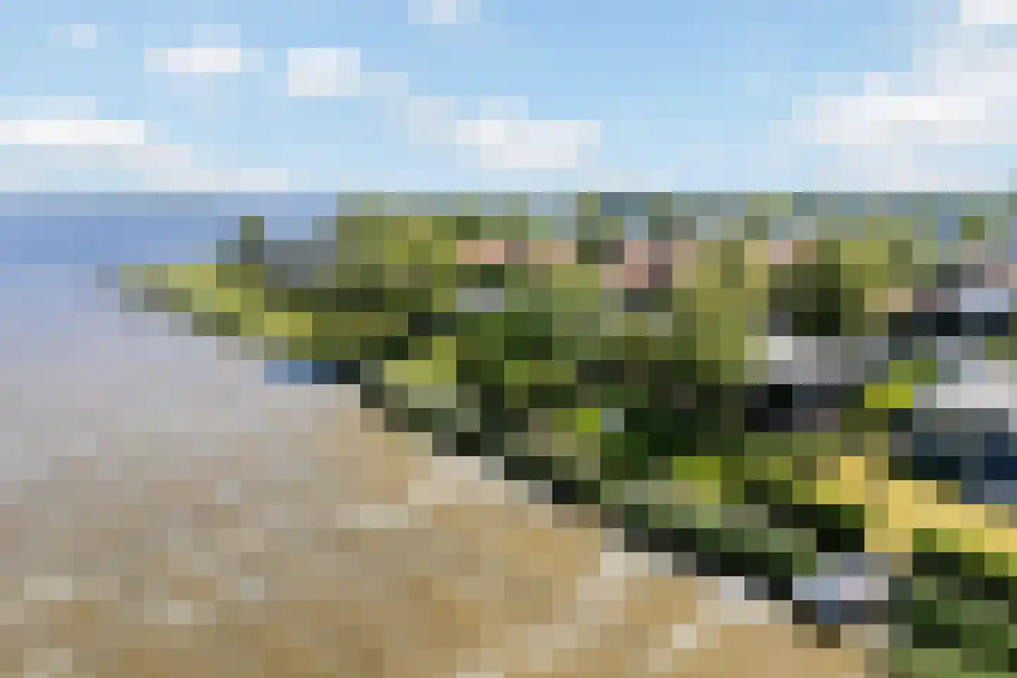 Grote Siege 8 Eanjum thumbnail 7