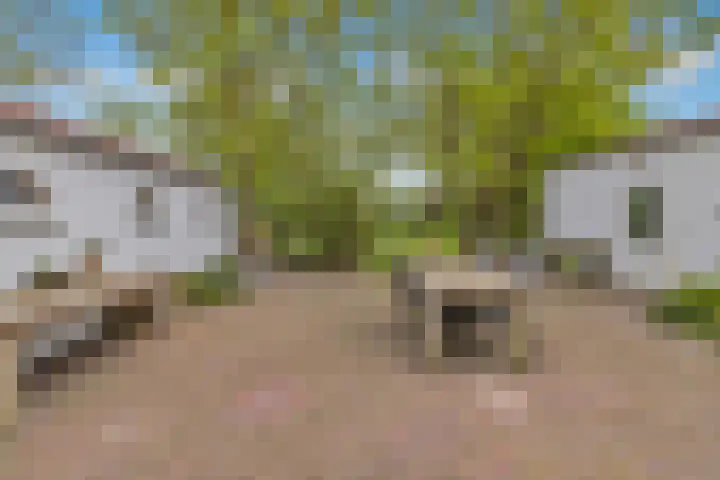 Grote Sloot 10 Burgerbrug thumbnail 51