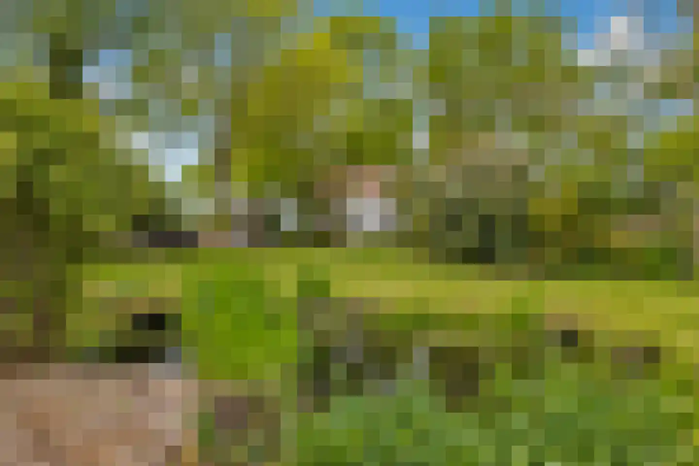 Grote Sloot 10 Burgerbrug thumbnail 56