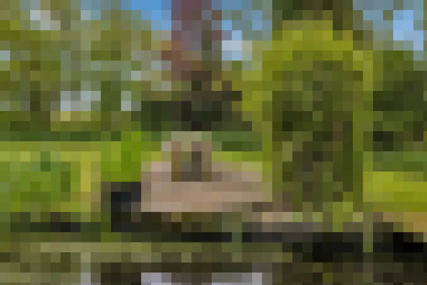 Grote Sloot 10 Burgerbrug thumbnail 57