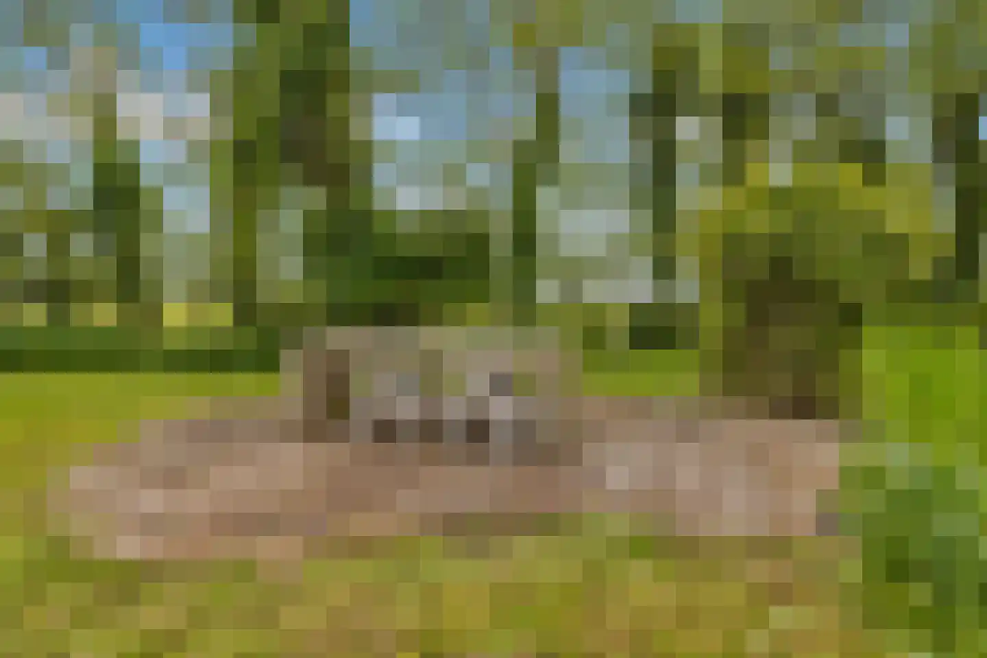 Grote Sloot 10 Burgerbrug thumbnail 58