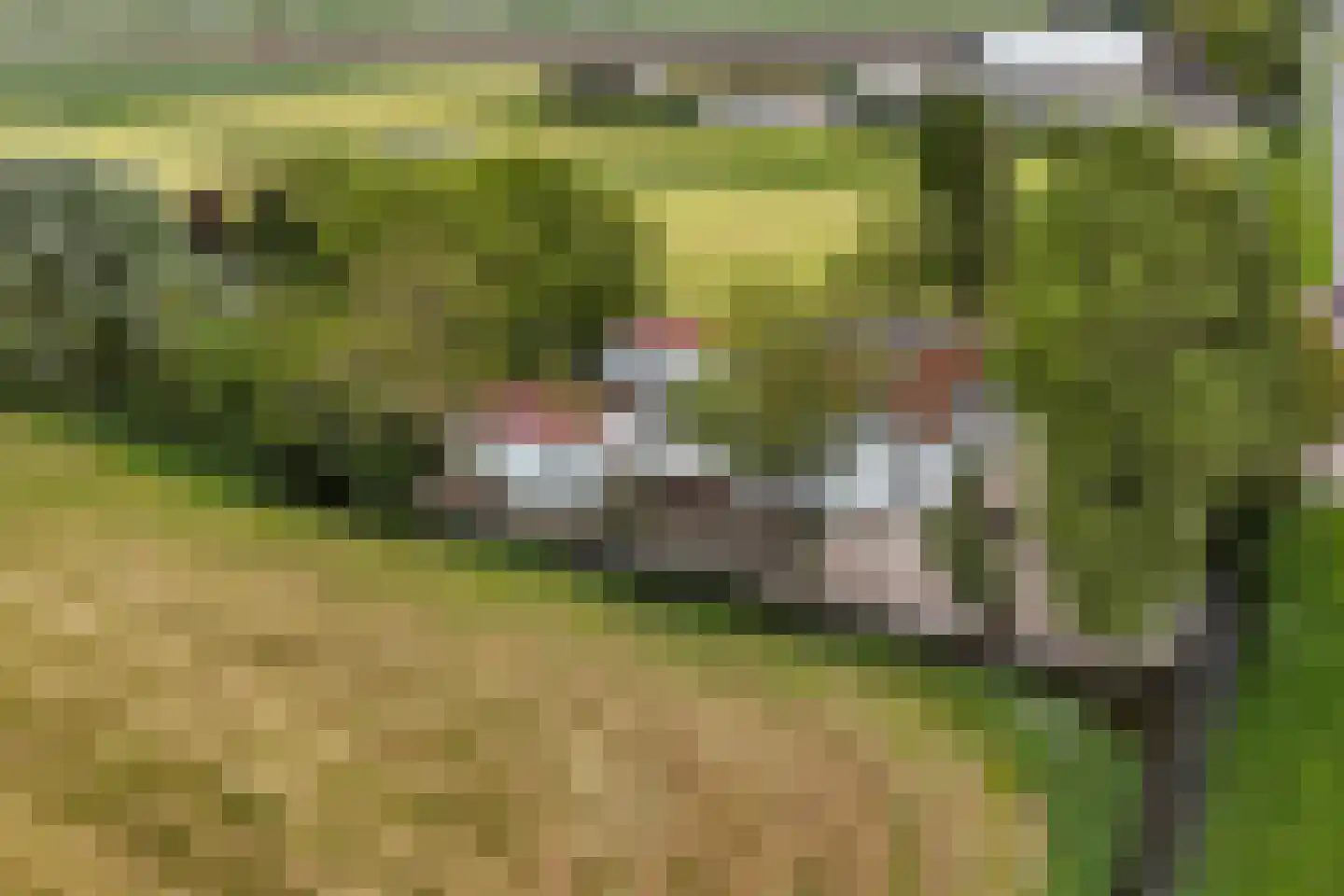 Grote Sloot 10 Burgerbrug thumbnail 71