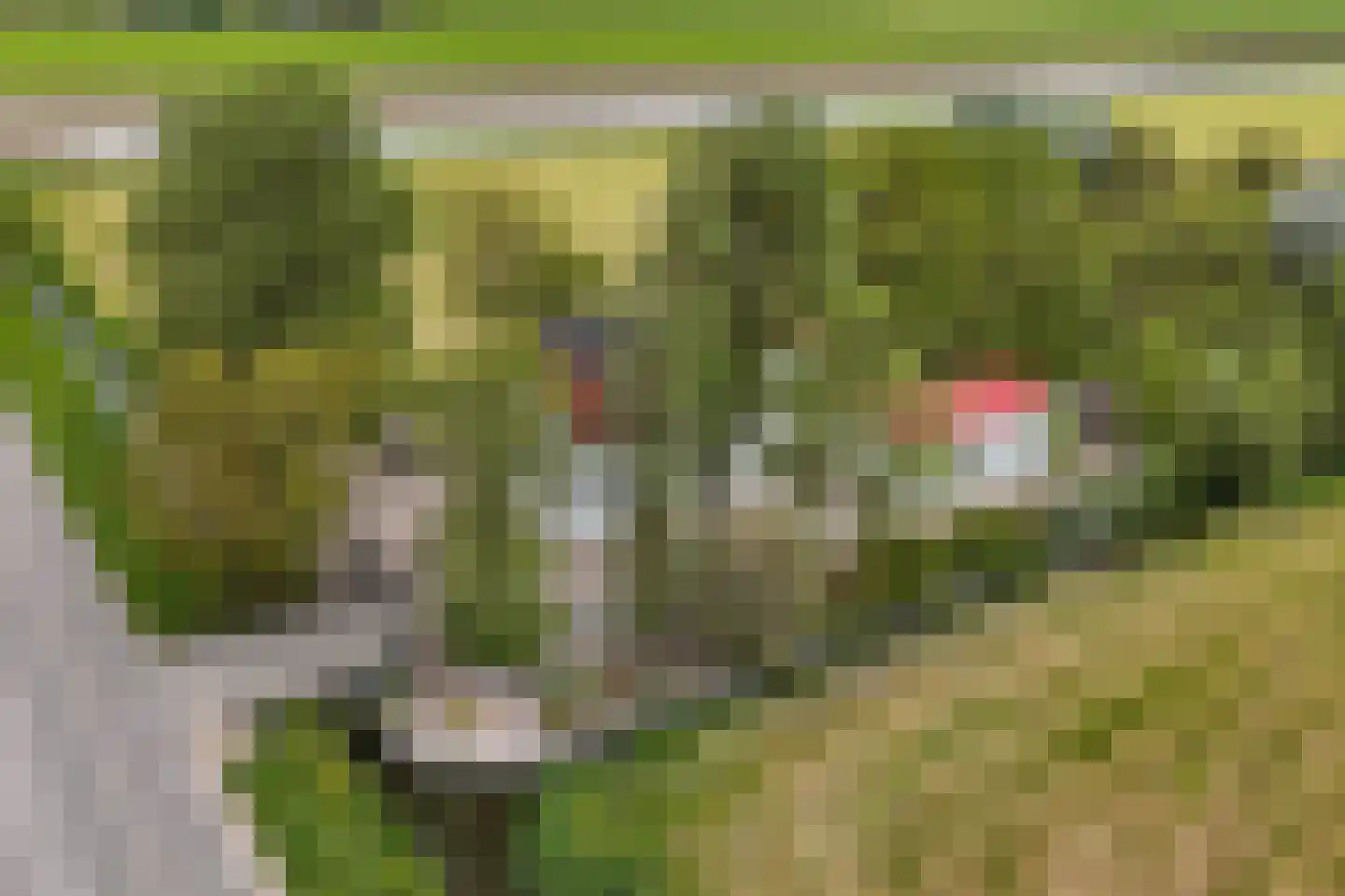 Grote Sloot 10 Burgerbrug thumbnail 72